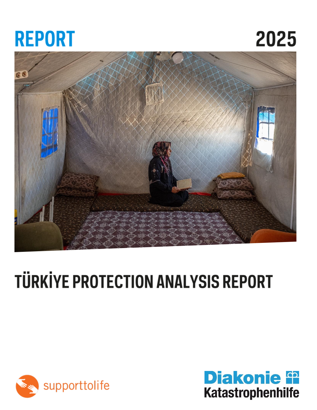 Cover: Türkiye Protection Analysis Report